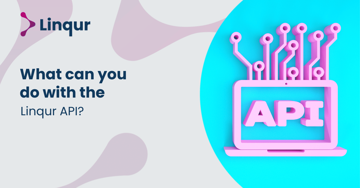 What Can You Do with the Linqur API?